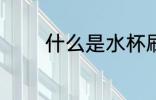 什么是水杯刷 水杯刷的介绍