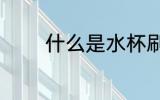 什么是水杯刷 水杯刷的介绍