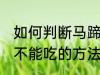 如何判断马蹄还能不能吃 判断马蹄能不能吃的方法