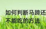 如何判断马蹄还能不能吃 判断马蹄能不能吃的方法