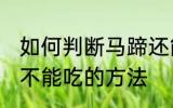如何判断马蹄还能不能吃 判断马蹄能不能吃的方法