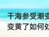 干海参受潮变黄了怎么办 干海参受潮变黄了如何处理