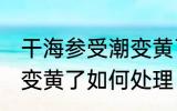 干海参受潮变黄了怎么办 干海参受潮变黄了如何处理