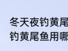 冬天夜钓黄尾鱼用什么饵最好 冬天夜钓黄尾鱼用哪种饵最好