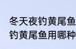 冬天夜钓黄尾鱼用什么饵最好 冬天夜钓黄尾鱼用哪种饵最好