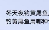 冬天夜钓黄尾鱼用什么饵最好 冬天夜钓黄尾鱼用哪种饵最好