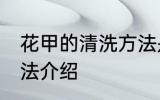 花甲的清洗方法是什么 花甲的清洗方法介绍