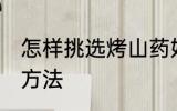 怎样挑选烤山药好吃的 挑选烤山药的方法