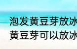 泡发黄豆芽放冰箱冷冻能保存吗 泡发黄豆芽可以放冰箱冷冻保存吗