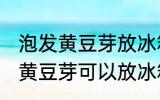 泡发黄豆芽放冰箱冷冻能保存吗 泡发黄豆芽可以放冰箱冷冻保存吗